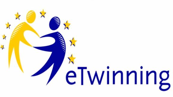 eTwinning Toptantısı Katılımcı Bilgileri
